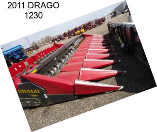 2011 DRAGO 1230