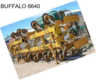 BUFFALO 6640