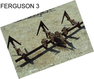 FERGUSON 3