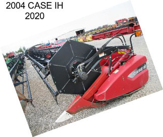 2004 CASE IH 2020