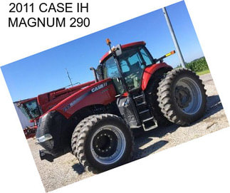 2011 CASE IH MAGNUM 290