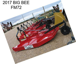 2017 BIG BEE FM72