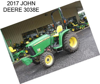 2017 JOHN DEERE 3038E