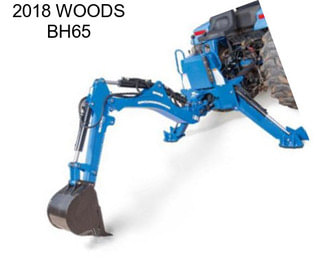 2018 WOODS BH65