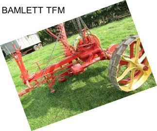 BAMLETT TFM