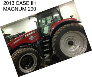 2013 CASE IH MAGNUM 290