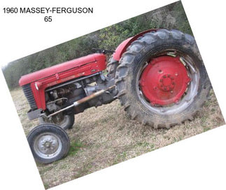 1960 MASSEY-FERGUSON 65