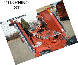 2018 RHINO TS12