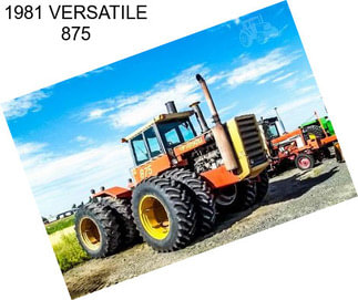 1981 VERSATILE 875