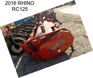 2016 RHINO RC125