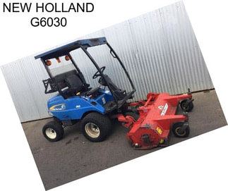 NEW HOLLAND G6030