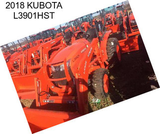 2018 KUBOTA L3901HST