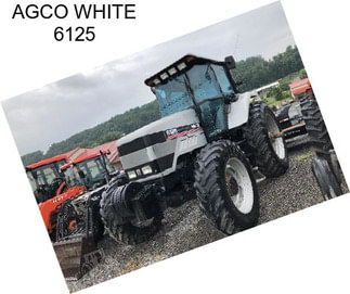 AGCO WHITE 6125