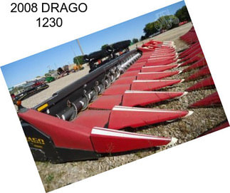 2008 DRAGO 1230