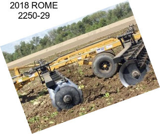 2018 ROME 2250-29