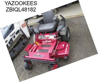 YAZOOKEES ZBIQL48182