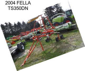 2004 FELLA TS350DN