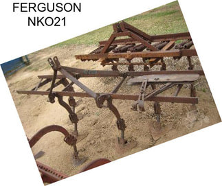 FERGUSON NKO21