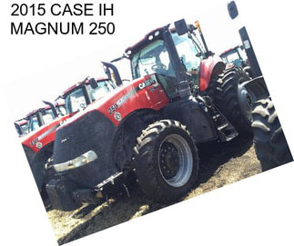 2015 CASE IH MAGNUM 250