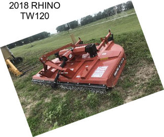 2018 RHINO TW120