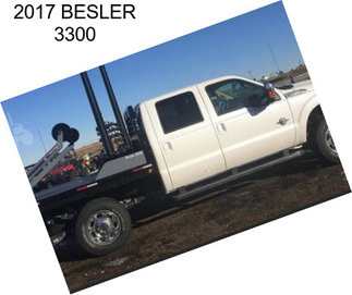 2017 BESLER 3300