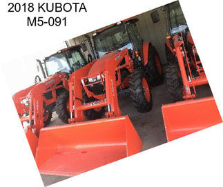 2018 KUBOTA M5-091