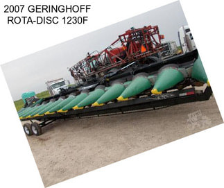 2007 GERINGHOFF ROTA-DISC 1230F