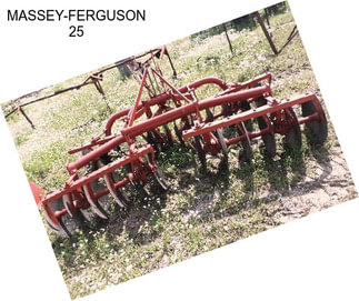 MASSEY-FERGUSON 25