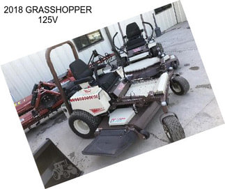 2018 GRASSHOPPER 125V