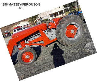 1958 MASSEY-FERGUSON 65