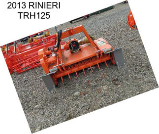 2013 RINIERI TRH125