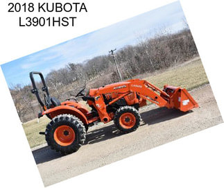 2018 KUBOTA L3901HST