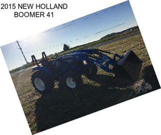 2015 NEW HOLLAND BOOMER 41