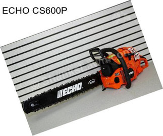 ECHO CS600P