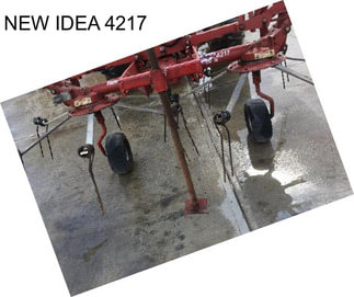 NEW IDEA 4217