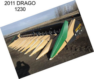 2011 DRAGO 1230