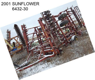 2001 SUNFLOWER 6432-30