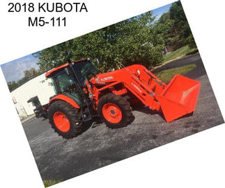 2018 KUBOTA M5-111