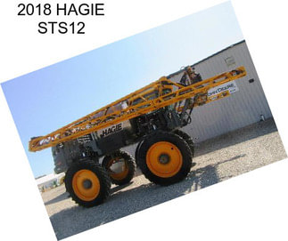 2018 HAGIE STS12