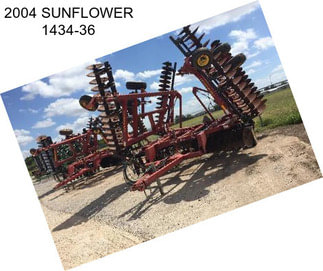 2004 SUNFLOWER 1434-36