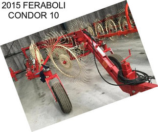 2015 FERABOLI CONDOR 10