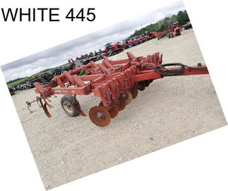 WHITE 445