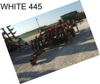 WHITE 445