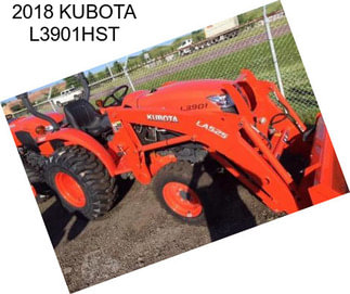 2018 KUBOTA L3901HST