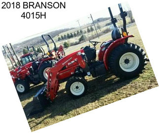 2018 BRANSON 4015H