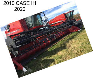 2010 CASE IH 2020