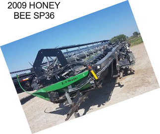 2009 HONEY BEE SP36