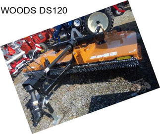 WOODS DS120