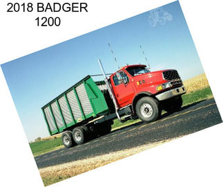 2018 BADGER 1200