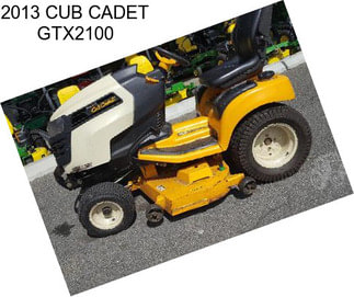 2013 CUB CADET GTX2100